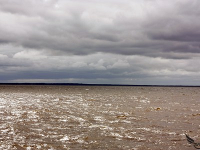 Балтийское море. Фото Екатерины Пастуховой