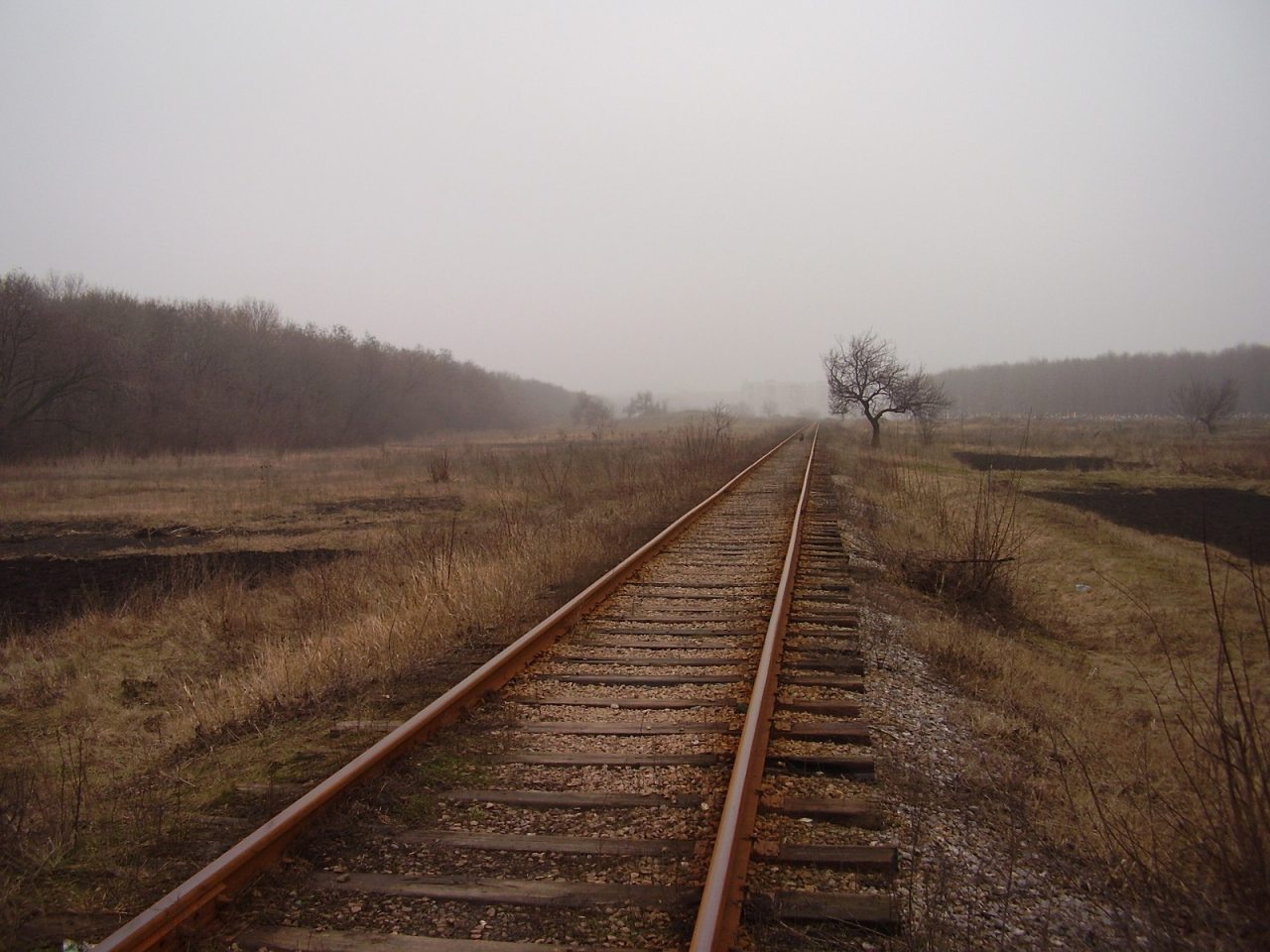 Железная дорога в поле