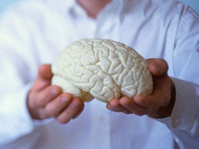 Модель мозга