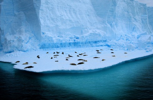 Озеро Восток в Антарктиде раскрывает секреты