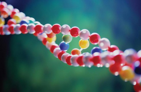 Искусственно созданы аналоги ДНК