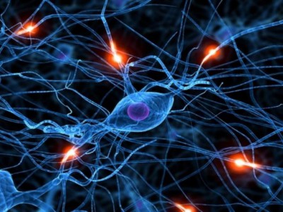 Ухудшение оттока продуктов метаболизма из мозга может вызвать нарушение нейронных связей