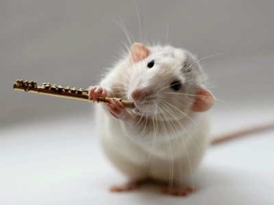 Музыкальная мышь