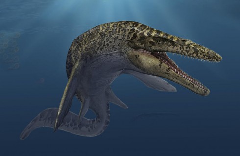 В Венгрии найдены останки пресноводного динозавра