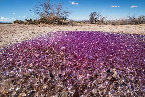 В Аризонской пустыне найдены фиолетовые шары