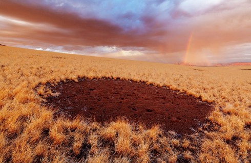 Ученые раскрыли тайну «волшебных кругов» Намибии