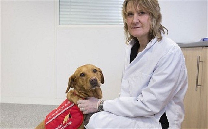 Собака обнаружила раковую опухоль у хозяйки