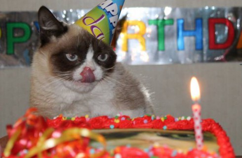 Grumpy Cat отметила День Рождения