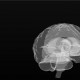 Ученые создали 3D-модель человеческого мозга