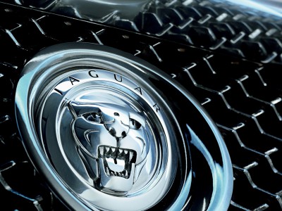 Логотип компании Jaguar