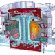 Новосибирские физики создадут международный реактор