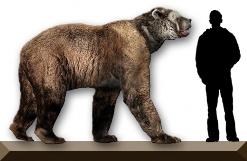 Геном древнего пещерного медведя больше не секрет