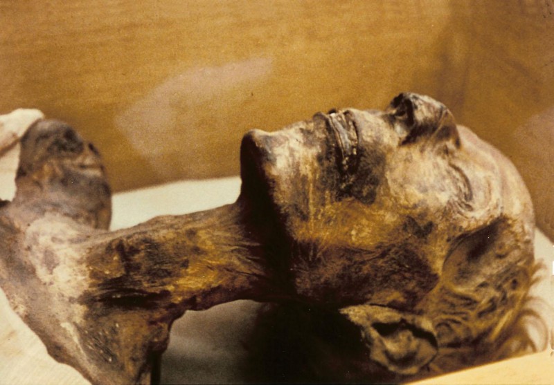 В Йоркшире обнаружена мумия