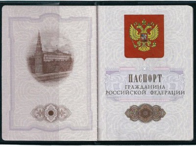 В Хакасии будут выдавать электронные паспорта