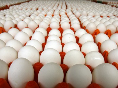 Кузбасс празднует Всемирный день яйца