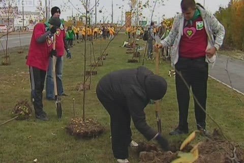 Жители Сургута посадили тысячу деревьев
