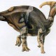 Американский школьник нашел скелет динозавра, который жил более 75 миллионов лет назад