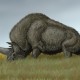 Древний носорог обнаружен под Тобольском