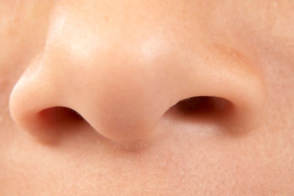 Почему у мужчин большой нос?
