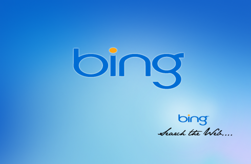 Bing попытался усовершенствовать поиск по картинкам