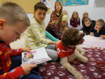 В Финляндии появились книжные собаки