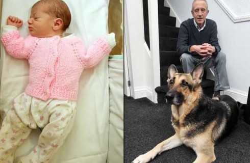 В Великобритании овчарка спасла младенца