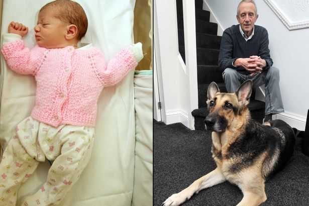 В Великобритании овчарка спасла младенца