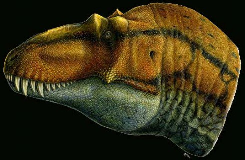 Найден предок тираннозавров