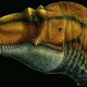 Найден предок тираннозавров