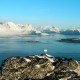 Пресную воду нашли в Гренландии