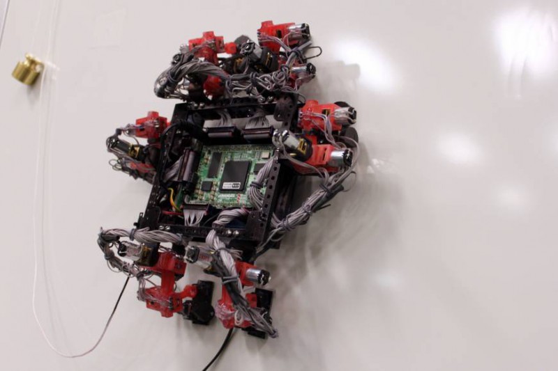 Гекконы помогли создать нового робота