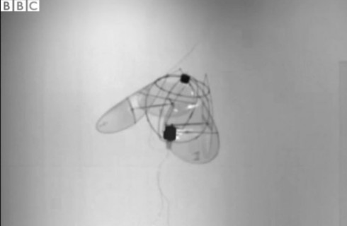 Медузы стали прототипом летающего робота
