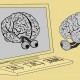 Мозг человека можно загрузить в компьютер