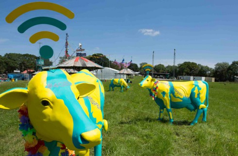 Коровы раздают Wi-Fi