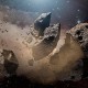 NASA обнаружило астероид для высадки