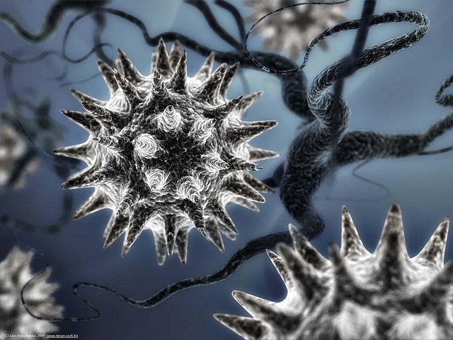 Ученые обнаружили новый вирус