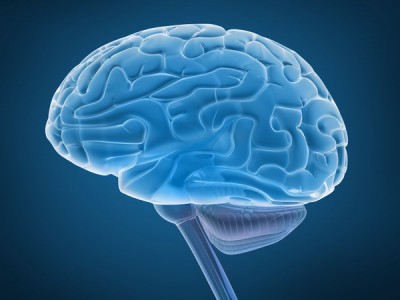 Объем человеческого мозга может зависеть от качества сна