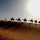 Тайна пустыни Сахара разгадана