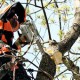 ТЕХНИКА КОМПАНИИ STIHL