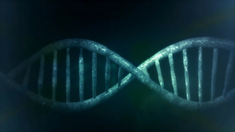 ДНК расскажет о продолжительности жизни