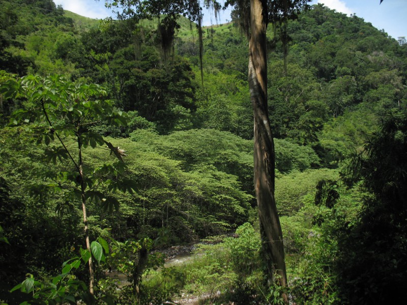 Джунгли Гондураса скрывали легендарный город бога обезьян