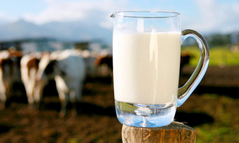 Молоко оказывает положительное влияние на работу мозга