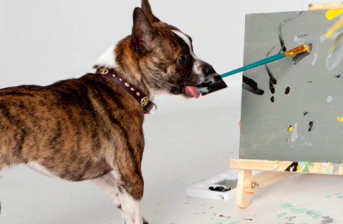 Собака зарабатывает созданием картин