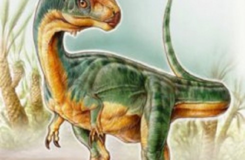 Родственник T. Rex оказался вегетарианцем
