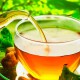Зеленый чай и кофе предотвращают преждевременную смерть