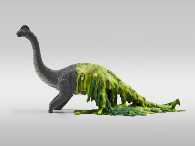 Динозавров в тропиках не было