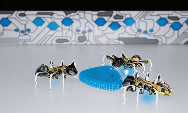 Роботы-муравьи могут работать в команде