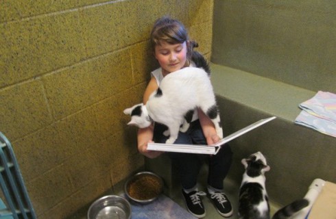 Чтение сближает кошек и детей