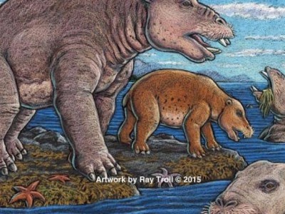 Древние носороги. Иллюстрация обнаруженного вида Ounalashkastylus tomidai