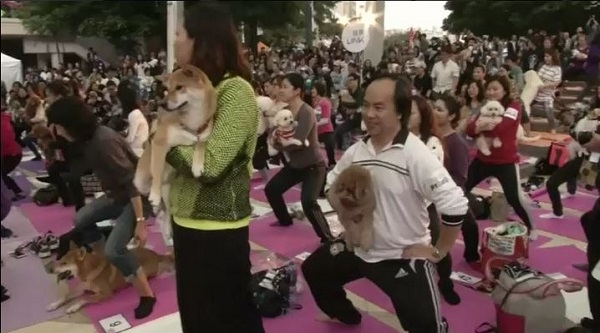 Собаки помогли установить йога-рекорд